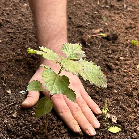 The Secret Garden * Tirana