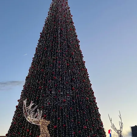 The Secret Garden Auberge de jeunesse