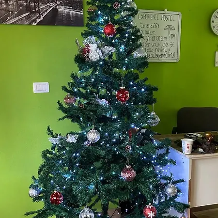 The Secret Garden Hostel Tirana