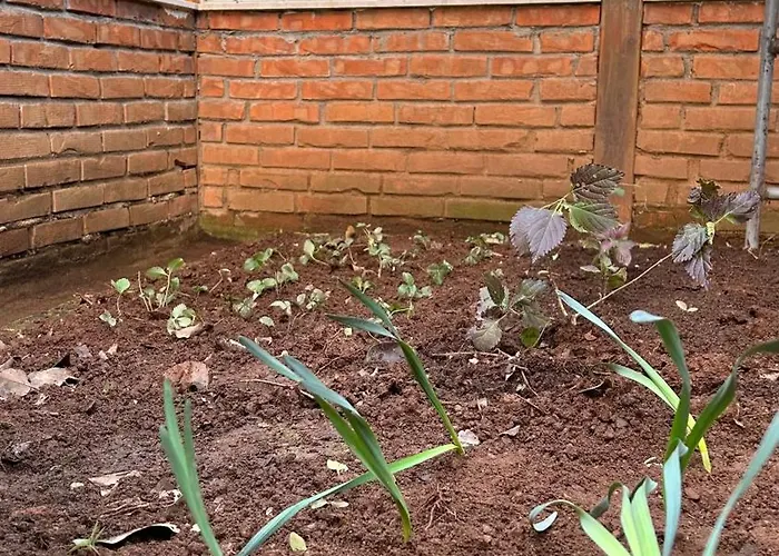 Hostel The Secret Garden