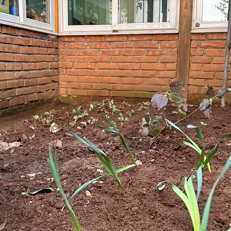 Albergue The Secret Garden